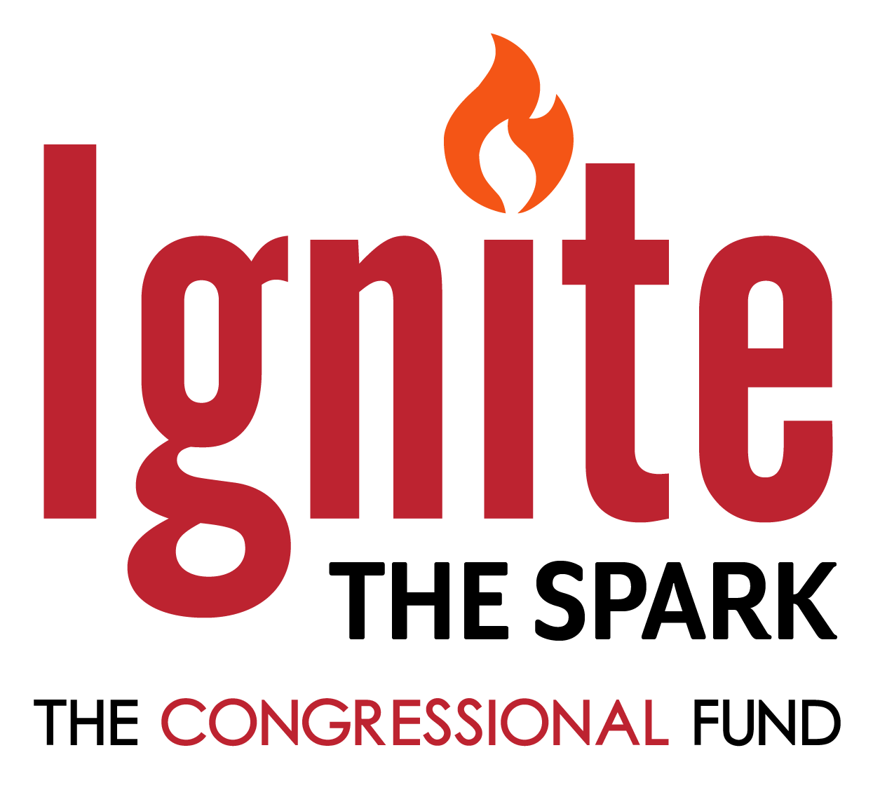 Ignite the Spark ignite the spark logo