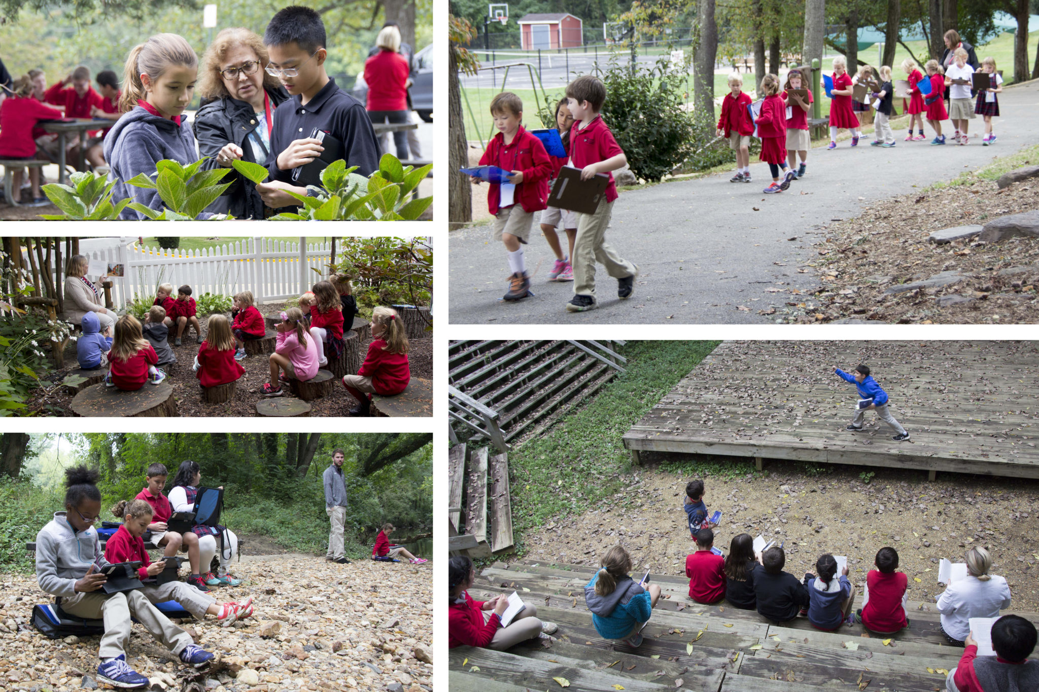 outdoor classroom day