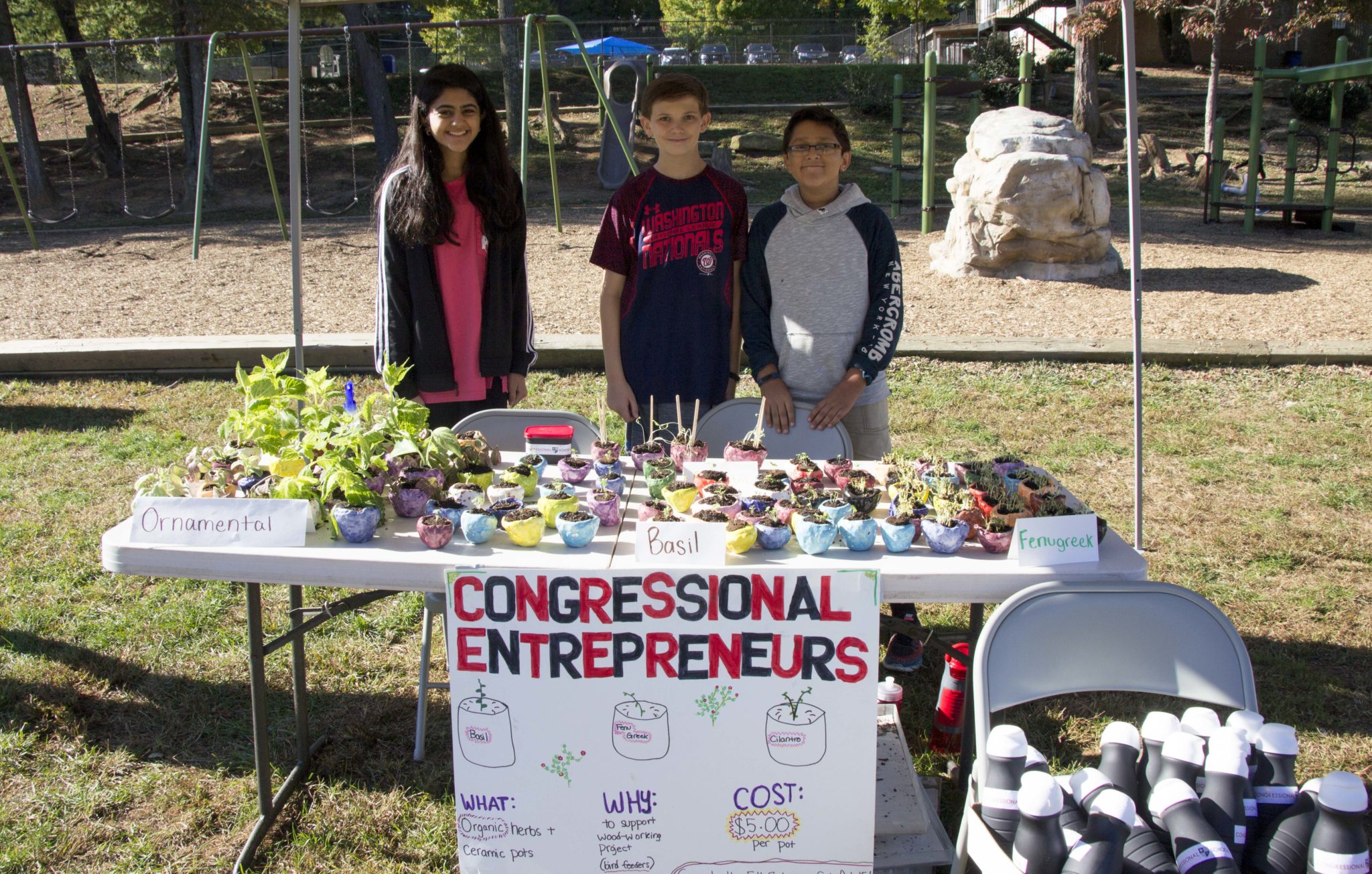 congressional entrepreneurs