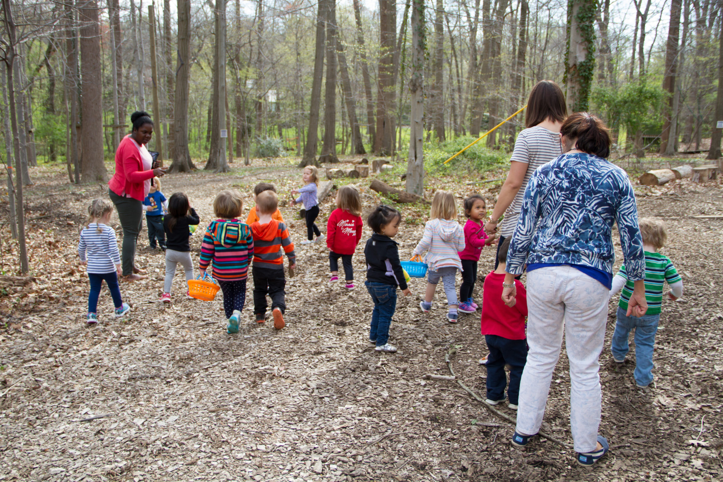 toddler forest walk