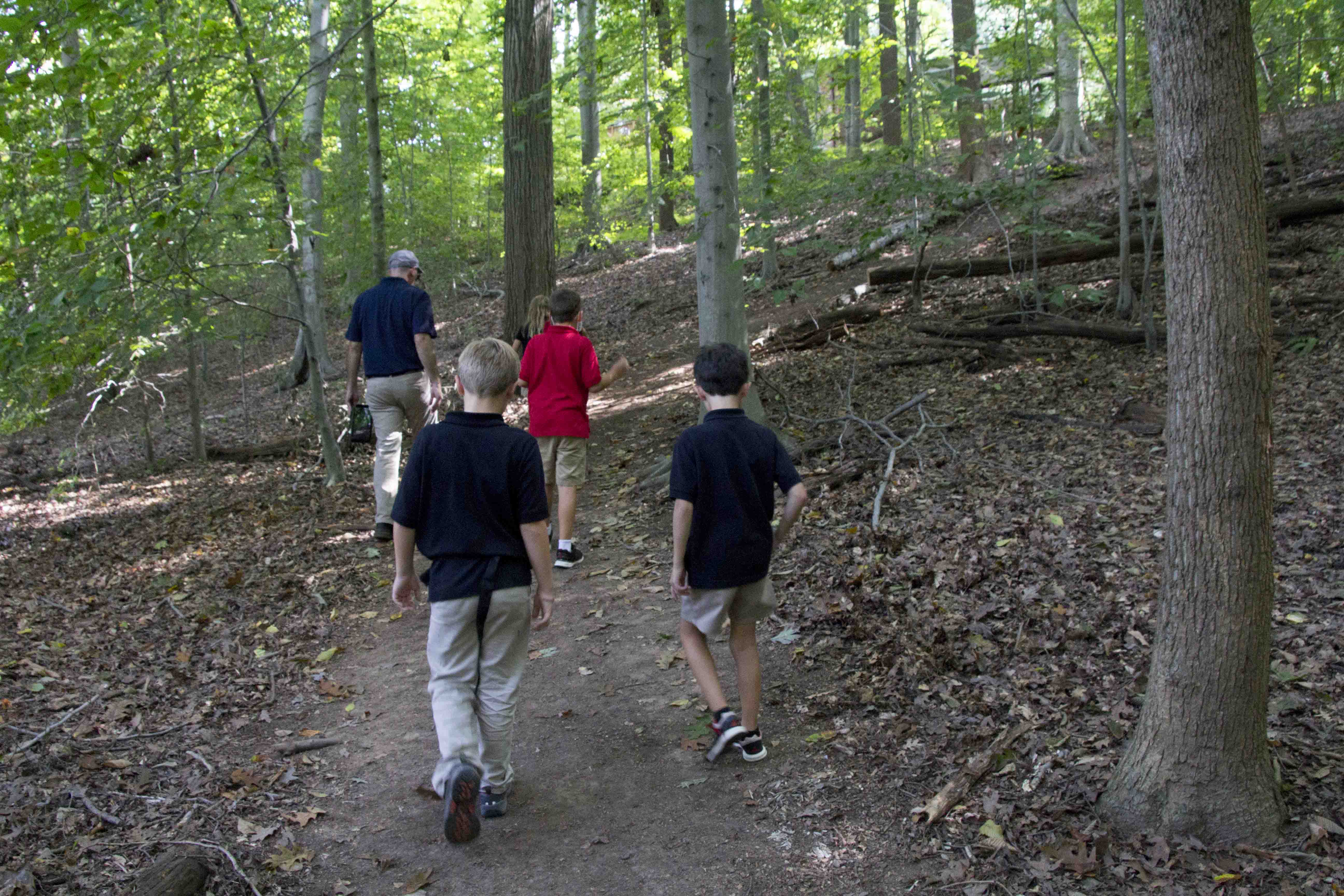 IMG_0477 walking in woods