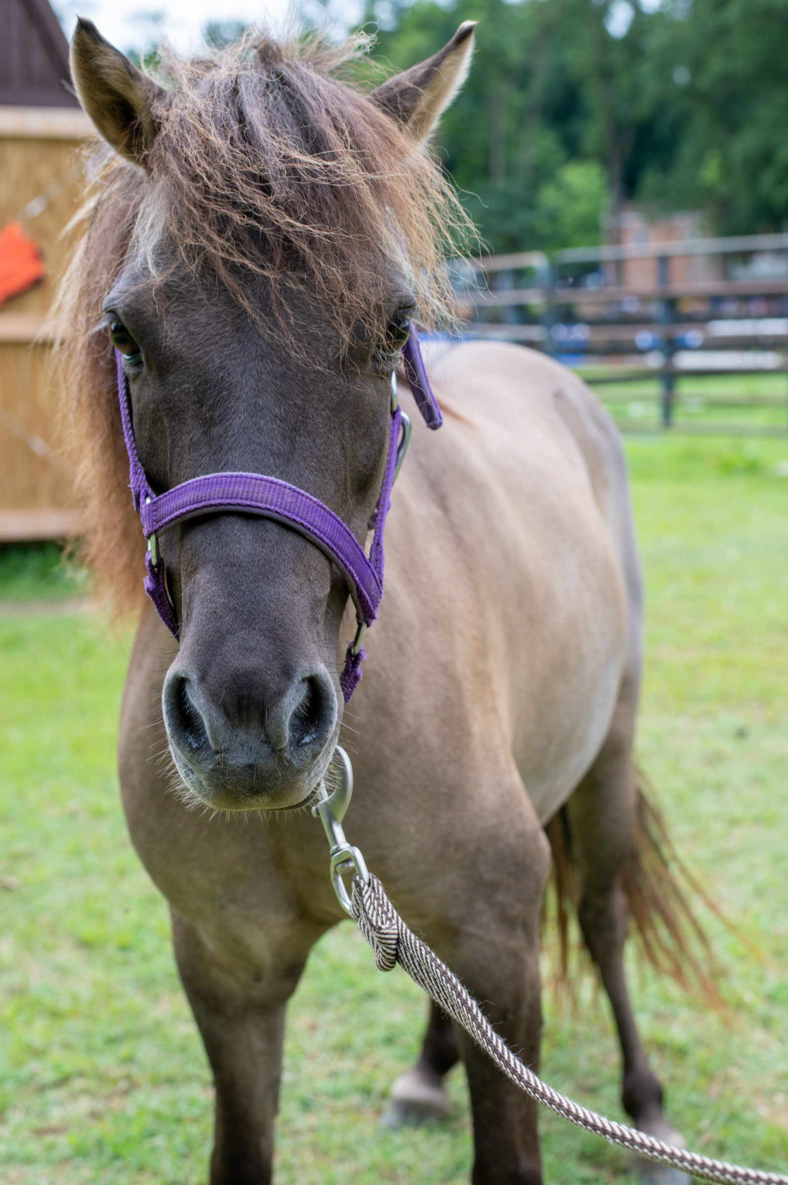 DSC_1859 DSC_1859