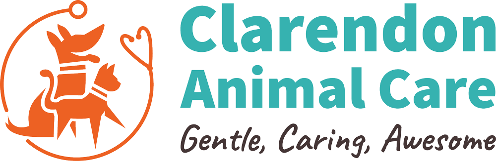 clarendon-animal-care-logo