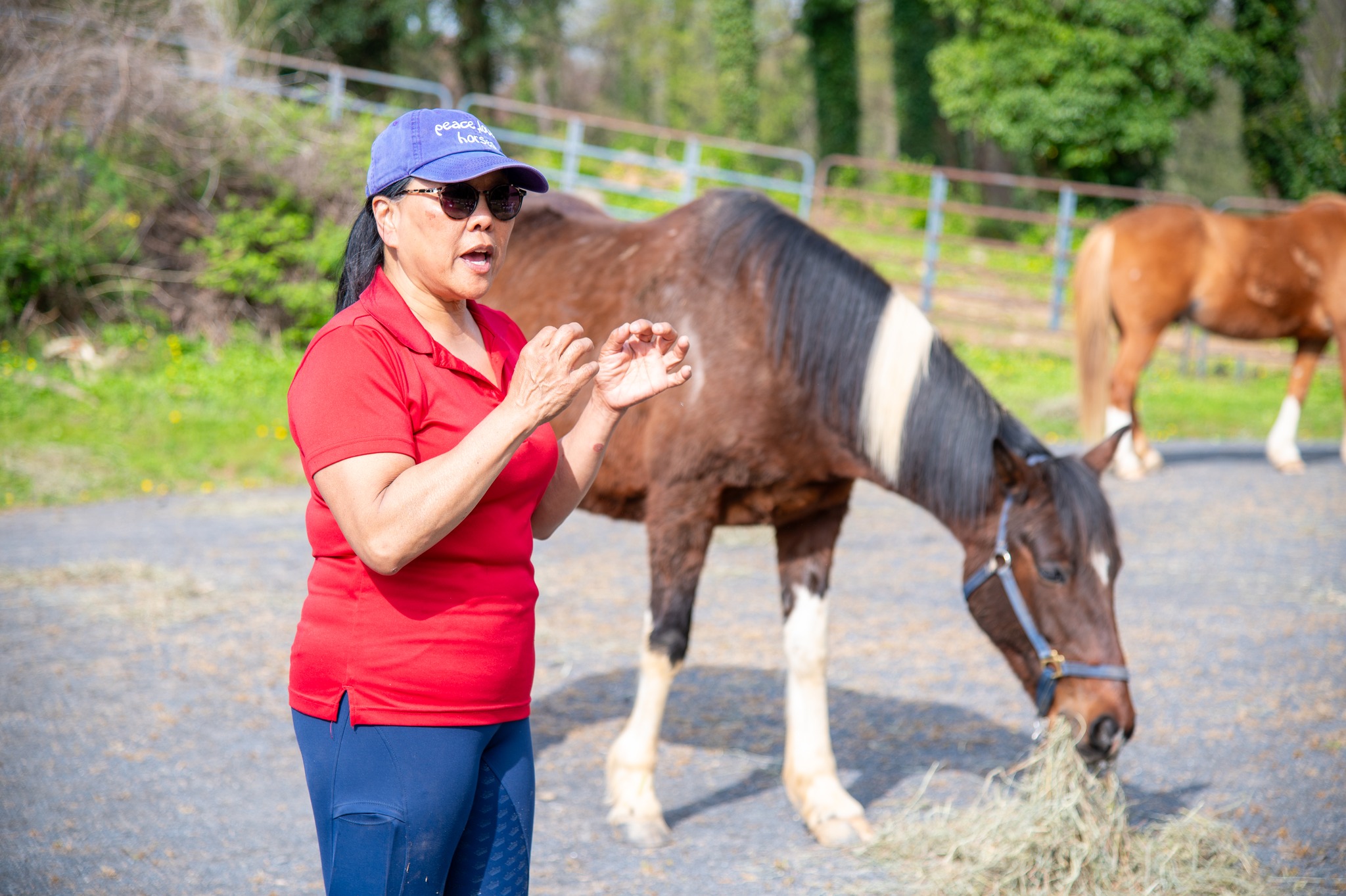 437940419_956210356510159_1032394394322239499_n